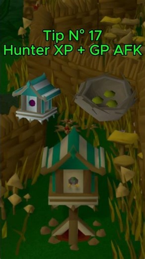 Tip N°17 – Bird House Runs | Hunter XP + Dinero en 2 Minutos