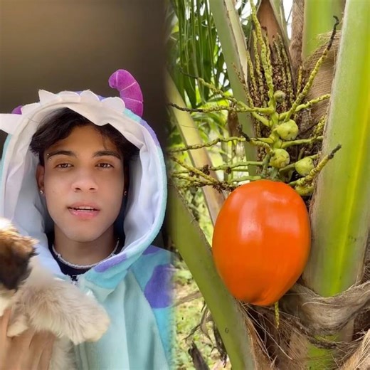 #funny#dialogue#narrative#pov#fyp#family#picking#curlyhair #braidstyles #braids #dancemoms #shorts