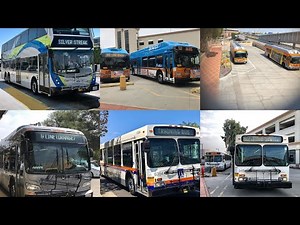 Bus Action of 2021