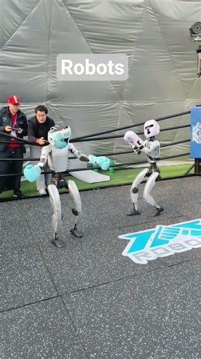 Humanoid Robots Boxing #robot #trending #technology #ai