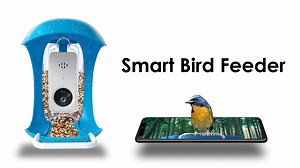 Watch How to install a smart bird feeder  on Amazon Live