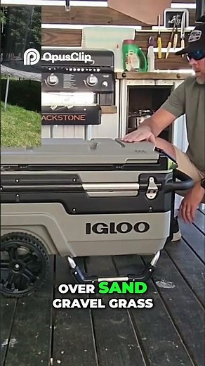 Amazon Cooler Review: Is This Igloo Cooler Worth It?
