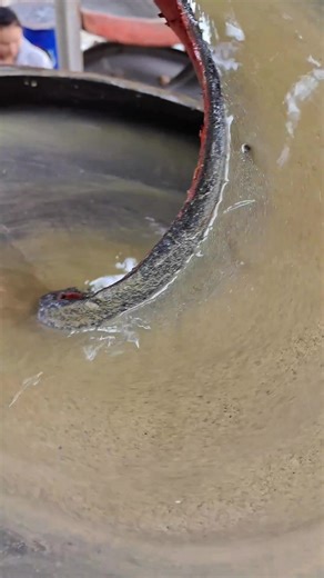 Spiral Sluice: Effective Mineral Beneficiation Device