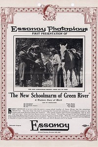 Where to stream The New Schoolmarm of Green River (1913) online? Comparing 50+ Streaming Services