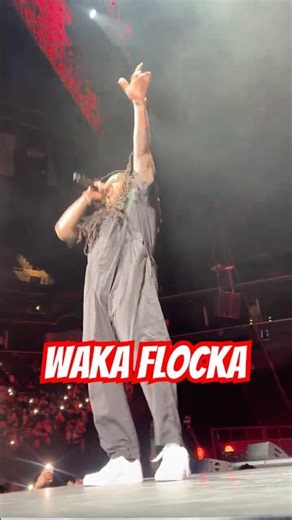 Watch Waka Flocka Control the Entire Crowd #concert #rap
