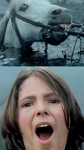 David Unger | We all remember where we were when the Swamp of Sorrows took Artax. It was the moment our collective childhood innocence ended… until now.... | Instagram