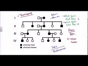 Pedigree analysis- autosomal dominant