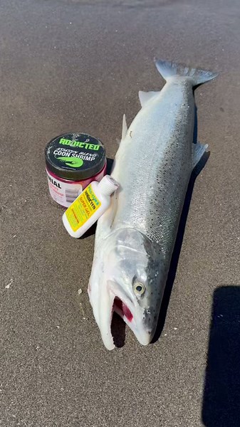 Addicted Blend for the win!