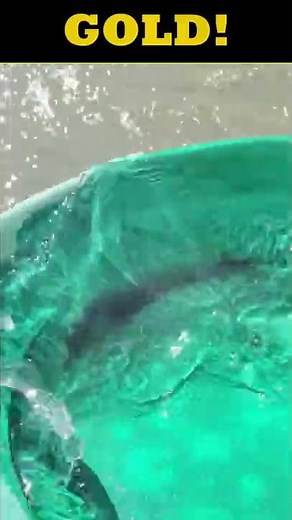 Gold Panning the Fraser River