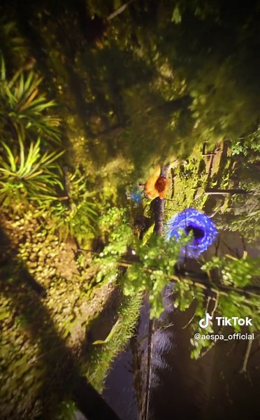 TikTok의 aespa official