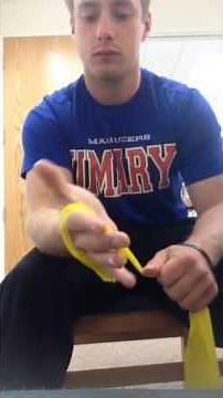 Forearm Pronation/Supination Strengthening