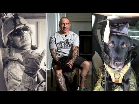 How a veteran's service dog has helped him recover from PTSD with 'unconditional love'