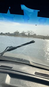 Mud Stamp Films on Reels