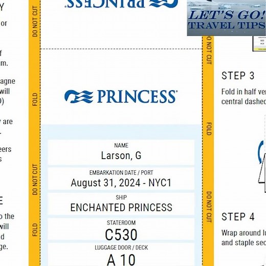 Cruise Luggage Tags: Print & Baggage Limit Explained! #shorts