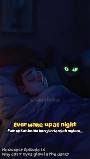 Why Cat Eyes Glow in the Dark (and Stare Into Your Soul at 3 AM) | Meowcast Ep.16 #shorts #meowcast