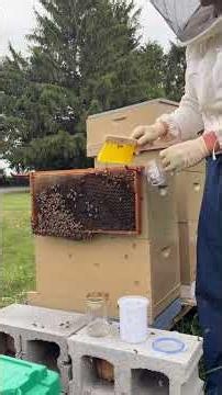 Doing my first mite wash to test for Varroa mites on the bees