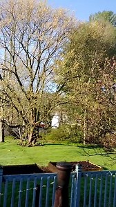 5.2K views · 102 reactions | Shop Tour (1) #luthier #guitar #acousticguitar #workshop | Jessica.violins | Facebook