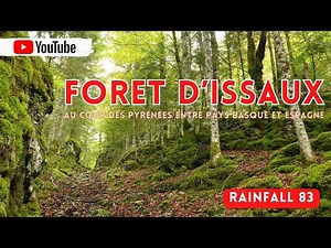 Balade en forêt d'Issaux en Osse en Aspe Pays Basque