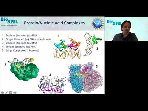 Co Crystallization: Ligand, Protein and Nucleic Acid Complexes