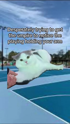 Hilarious Attempts to Grab Umpire's Attention in Netball