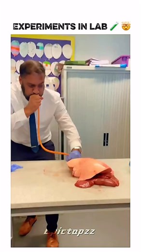 EPICTAPZZ | This 1 minute and 11 second reel brings together simple lab experiments that are surprisingly satisfying to watch. Each clip shows how... | Instagram