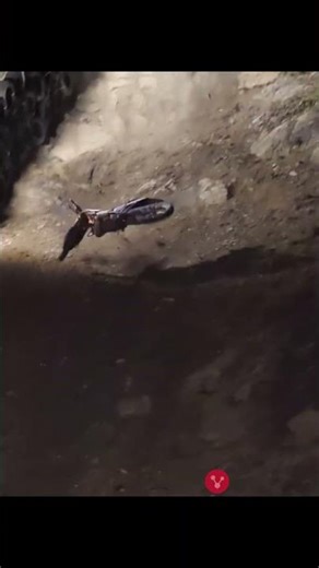 The Impossible Hill Climb! 5 | 😱 Dirt Bike Extreme | #bikelife #bike #biker #dirtbikeadventures