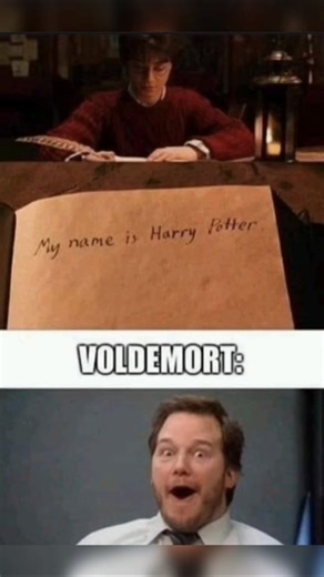 Voldemort's Face When Harry Writes His Name in the Diary 😂