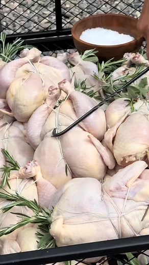 Let’s talk about cooking chicken over an open fire 🔥🍗. The real magic happens when the fat starts to render down, basting the meat as it cooks. But here’s the secret: before it even hits the fire, dip it into some warm ghee, sprinkle it with salt, and let the smoke work its magic. #sarahglover #wild #openfirecooking #fire #chef #wildkitchen #wildcookbook #firechef #wildchild #usa #fashion #road-trippingtheusa #newcookbook #food #wildcookbook #australianchef #australian #usa #usaroadtrip | offg