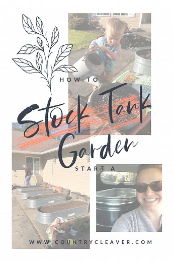 How To Start A Stock Tank Garden