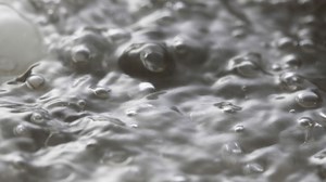 Boiling Sea Moss - Your Step by Step Guide