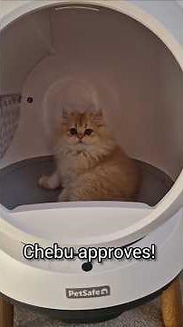 Unboxing PetSafe ScoopFree SmartSpin Self-Cleaning Litter Box #petsafe #cats