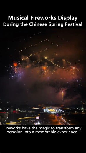 Chinese Spring Festival Musical Fireworks Display #fireworks #chinesenewyear #musical