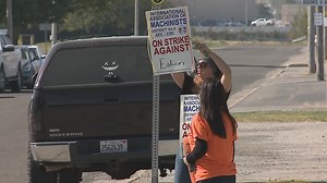 'They can't simply live off this wage': Hundreds of Eaton B-Line workers on strike in Illinois