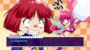 Cotton Fantasy delayed to spring in the west