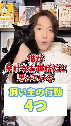 猫が余計なお世話だと思っている飼い主の行動４つ #猫 #猫のいる暮らし #ねこ