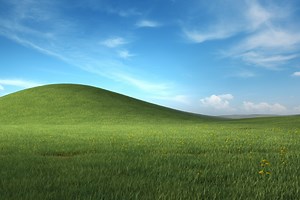 Windows Wallpapers and Backgrounds: Free HD Download [340 ]