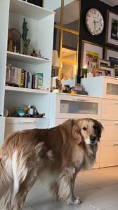 488K views · 10K reactions | ‘AWWOO’ NA ANG BAG-ONG TITLE ANI ...