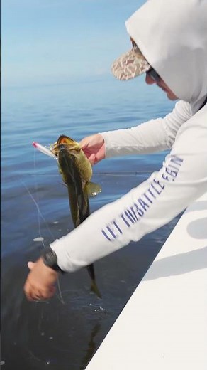 Flats Speckled Trout Action | 7'6" Medium Heavy Fenwick World Class #fenwickfishing #inshorefishing