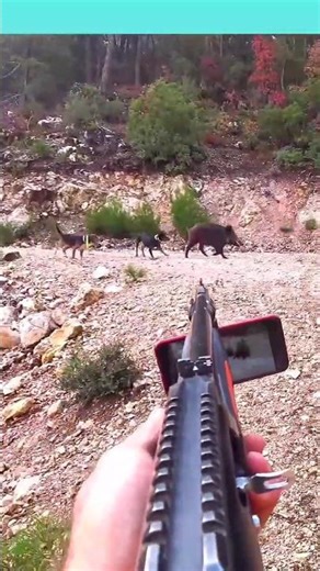 🐗💥“Epic Wild Boar Hunt – The Most Intense Chase Ever!”#BoarHunt #WildBoar #BoarHunting#EpicHunt