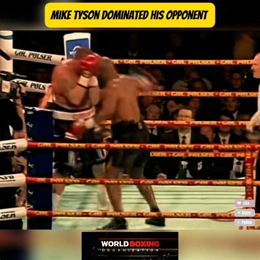 Mike Tyson vs. Brian Nielsen was a professional boxing match contested - part 1 | 𝘽𝙚𝙖𝙪𝙩𝙞𝙛𝙪𝙡 𝙇𝙞𝙛𝙚