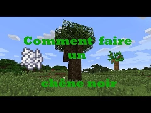 Minecraft Tutorial - How to grow a black oak tree