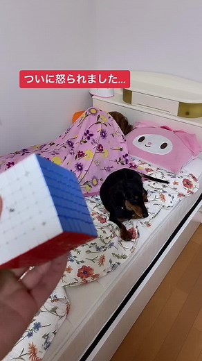 #Rubik's Cube #ルービックキューブ