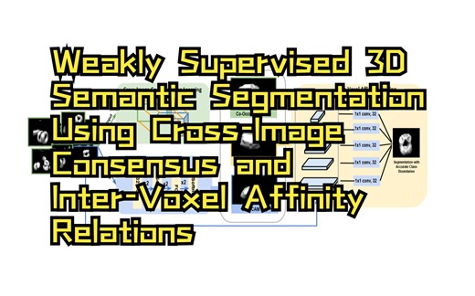 【弱监督分割】使用跨图像一致性和体素间亲和关系的弱监督 3D 语义分割