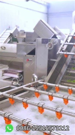 How Are Green Peas Processed?