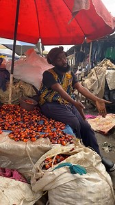 351K views · 19K reactions | Warrr Seigneur , moi même je dérange . Voilà pour vous mes youyou qui ne comprennent pas, traduction en dessous. Dites-moi, si vous aimez ? | Willy magloire Officiel | Facebook