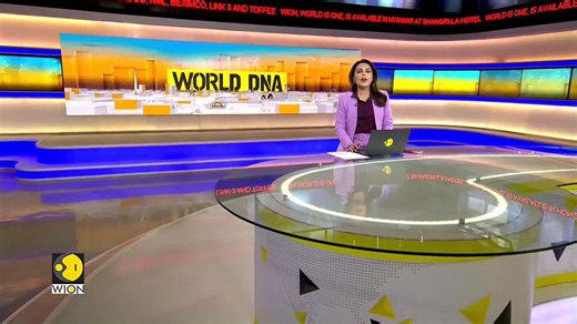 Istanbul’s unique tradition: Swimming across the Bosphorus for relaxation