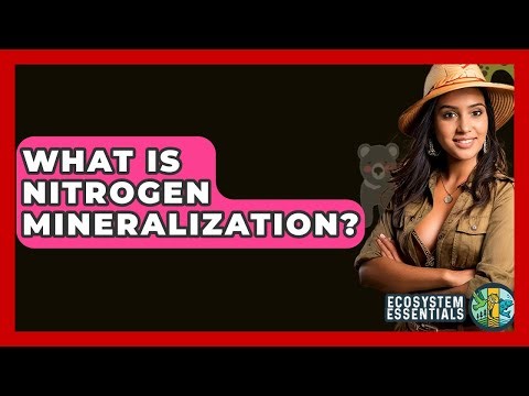What Is Nitrogen Mineralization? - Ecosystem Essentials