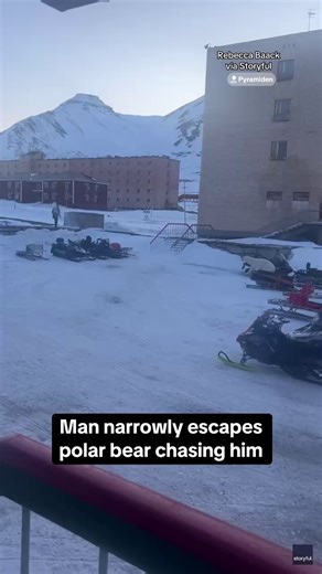 A man barely escaped a polar bear after he dropped his gun and jumped on a snowmobile in an Arctic town. Video taken from a hotel in Pyramiden, a town on the Norwegian archipelago of Svalbard, shows the man trying to run away before the large animal almost catches up. According to local tourism agency, polar bears are known to populate the region and it warned the bears attack “quickly, without warning." | CBS News