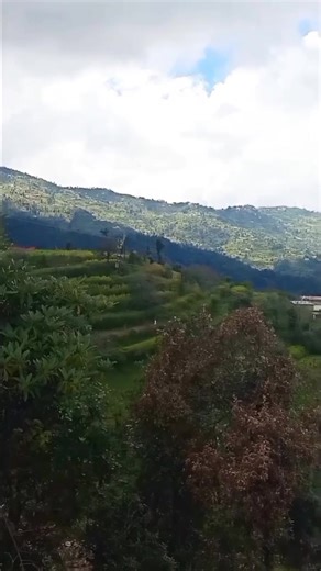 Ghumakkari Dil Se घुमक्कड़ी दिल से GDS | Terrace farming...August 2021..Terrace farming is a method of farming whereby “steps” known as terraces are built onto the slopes of hills and mou... | Facebook