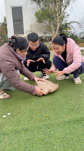 Epic Troll Moment – Laughing Nonstop 🤣#prankvideo